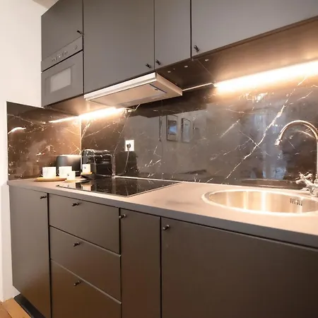 Appartement Luxury Flat Victor Hugo *